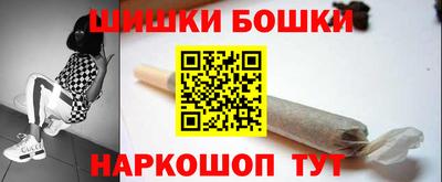 МДПВ Камышлов