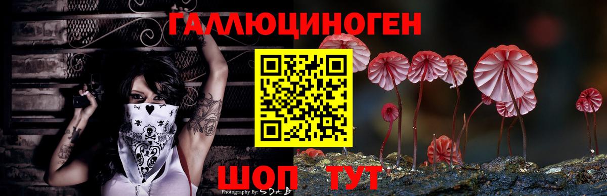 Галлюциногенные грибы Psilocybine cubensis  Вход с VPN  даркнет сайт  Электросталь 